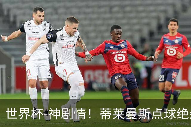 世界杯-神剧情！蒂莱曼斯点球绝杀 比利时加时3-2塞内加尔