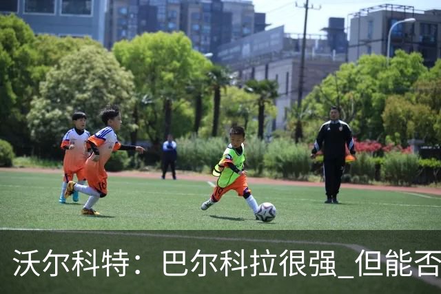 沃尔科特：巴尔科拉很强 但能否适应英超？我更倾向于买罗杰斯